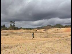 Madagascar - Efforts to save shrinking rainforest News Clip