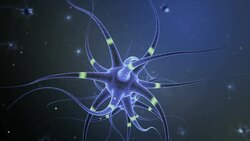 Active nerve cell animation Stock Footage