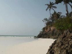 MS Palm trees on cliff over white beach at Indian ocean south coast of mombasa AUDIO / Mombasa, Coast Province, Kenya Stock Footage