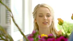 Florist arranging flowers in flower shop Stock Footage