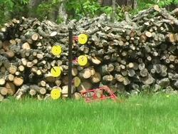 Target Practice 3 NTSC Stock Footage