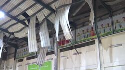 Stadium roof collapse after bad weather in Gaza Instructional Video