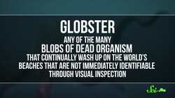 What the Frick is a Globster? Instructional Video