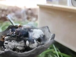 Incense burning and Ethiopian woman Stock Footage