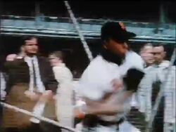 1962 tilt up Willie Mays in SF Giants uniform batting / industrial Stock Footage