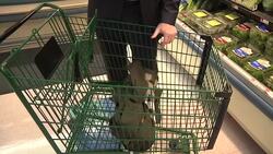 Tips for sticking to your 2017 resolutions News Clip