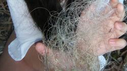 Youth in Action: Fighting Marine Pollution Instructional Video