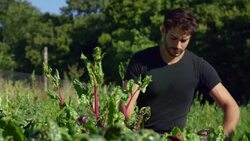 Biodynamic farming Stock Footage