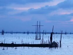 Fishermen trap the fish Stock Footage