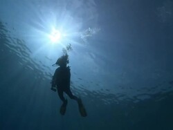 Silhouette of diver during Safety Stop, with sunburst, Vaavu Atoll, The Maldives Stock Footage
