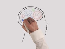 Gears in Human Brain Whiteboard Animation Stock Footage