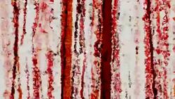 series transcendental fields : from blood rain, bright (TRANSITION) Stock Footage