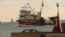 Istanbul Stock Shots - Bosphorus shore News Clip