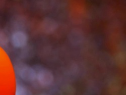 Abstract Background Defocused LOOPED Stock Footage