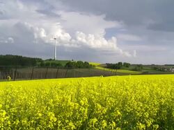 Rape Field in Front of a Wind Turbine Stock Footage