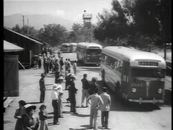 B/W 1942/3 buses arriving at race track with deported Japanese-Americans / documentary Stock Footage