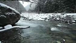 River in the mountains of Caucasus Stock Footage