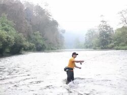 HD: Fly fishing Stock Footage
