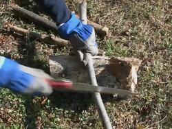 Gardener sawing and breaking some branches for the fireplace Stock Footage