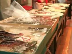 HD:People selecting fish at the market. Stock Footage