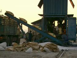 MS Unloading bags in building site / Djibouti Stock Footage