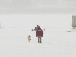 MS Man and dog walking frozen lake during winter / Minneapolis, Minnesota, USA Stock Footage