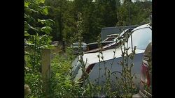 Street scenes around town of Canadensis News Clip