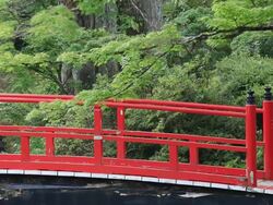 MS View of bridge / Kouya, Wakayama, Japan Stock Footage