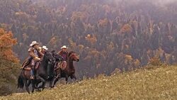 SLO MO DS Two cowboys and cowgirl riding galloping horses Stock Footage