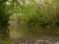 Slow zoom in on creek with trees on either side. Stock Footage