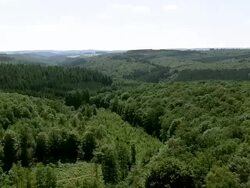 MS AERIAL PAN View of wooded area / Walloon Region, Belgium Stock Footage