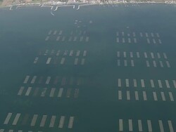 WS AERIAL View of Mussel Beds in Bay at Sete / Languedoc Roussillon, France Stock Footage
