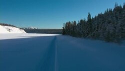 A dogsled path cuts through a thick blanket of snow. Stock Footage