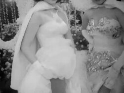 Rose Bowl Parade Stock Footage