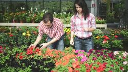 Florists owner arranging flowers Stock Footage