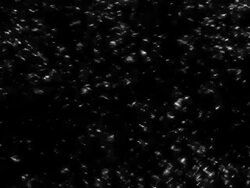 Twinkle Stock Footage