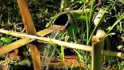 Bamboo Water Feature Stock Footage