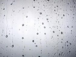 HD: Drops Dripping Down The Glass Stock Footage