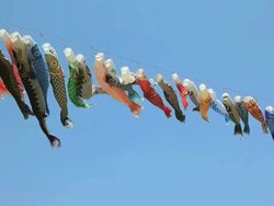 koinobori in Japan Stock Footage