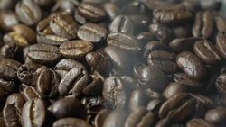 Coffee Bean, Smoke Stock Footage
