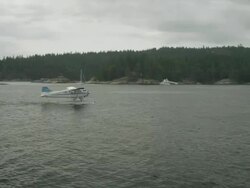 MS TS TD Seaplane passes by boats with tree / Cortes, British Columbia, Canada   Stock Footage