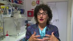 DNA shows early spread of cats in human world News Clip