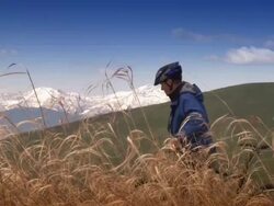 Cyclist Enjoys Scenic View Stock Footage