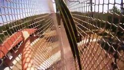 Walking at the zip line adventures Stock Footage