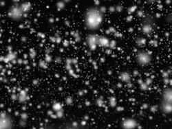 Snow fall into the camera. Loop Stock Footage