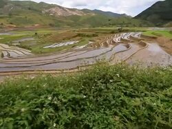 terraced rice field in Tule Village Stock Footage