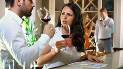Wine tasting. Stock Footage