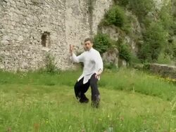 CRANE: Practicing Tai Chi Chuan Stock Footage