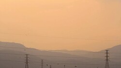 Birds Flying Home in the evening Stock Footage
