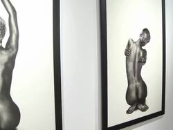 ATMOSPHERE - Photographs at De Re Gallery & Casamigos Tequila Host The Opening Of Brian Bowen Smith's WILDLIFE Show Stock Footage